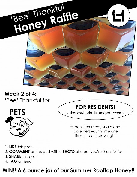 bee_thankful_flyer_2-457x0-is
