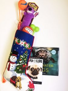 dog_contest_prizes-578x0-is