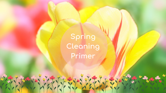 Spring comes earlier when you enjoy indoor plants