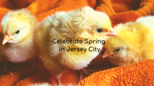springtime in jersey city