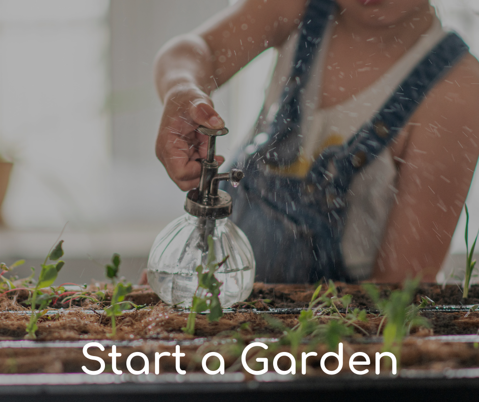 Start Your Journey with an Indoor Garden Now!